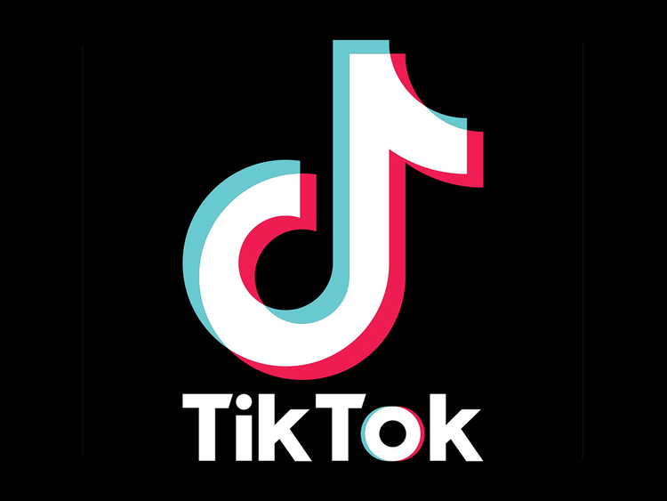 Tik Tok Takes Over: Why the new platform has swept Auk Nation